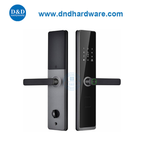 Sécurité à domicile Alarme numérique Smart Finger Empreinte verrous de porte avec clé mécanique-DDL008