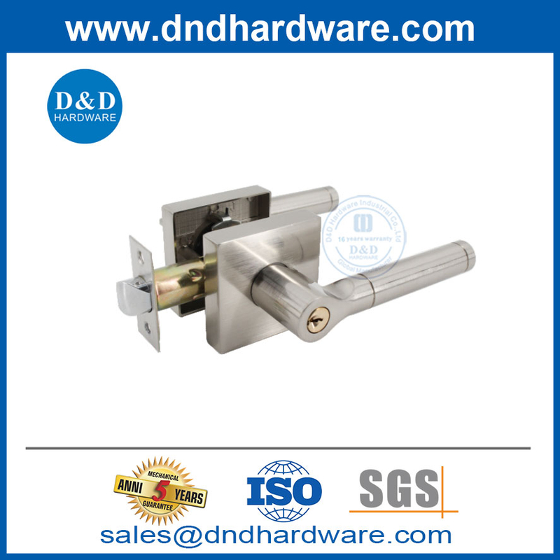 SECTRES DE PORTE FROME Square Zinc alliage extérieur Entrée Porte Lockset-ensembles-DDLK015