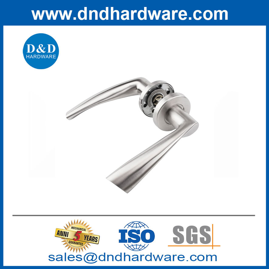Poignées de porte solide en acier inoxydable en acier de haute qualité-DDSH002