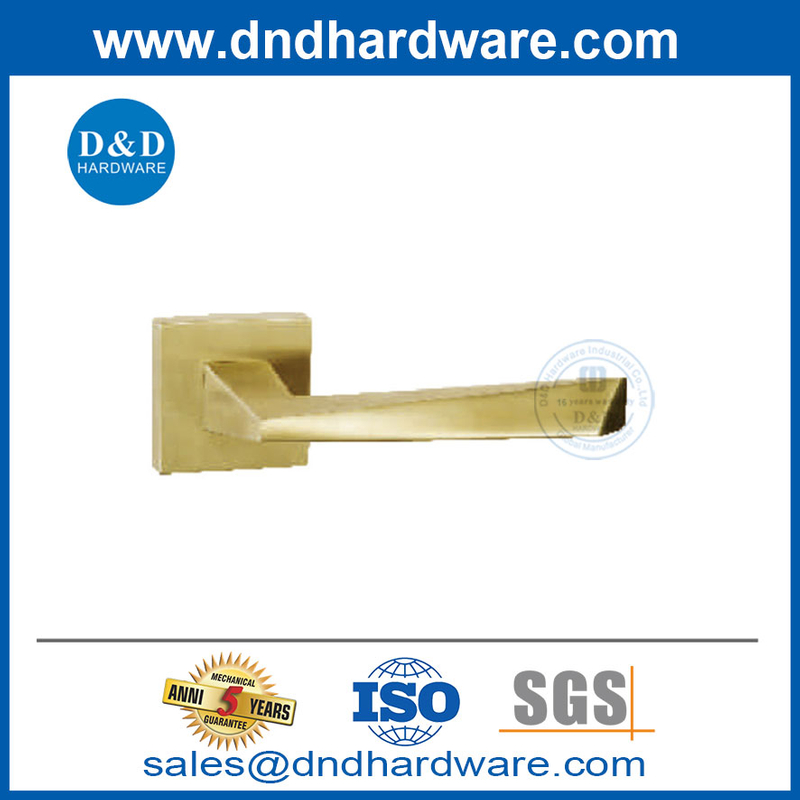 Porte en bois en acier inoxydable 304 Handle de porte en or intérieur moderne-DDSH056