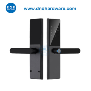 Application Smart Locks Smart Apprint Electronic Digital Lock-DDL006