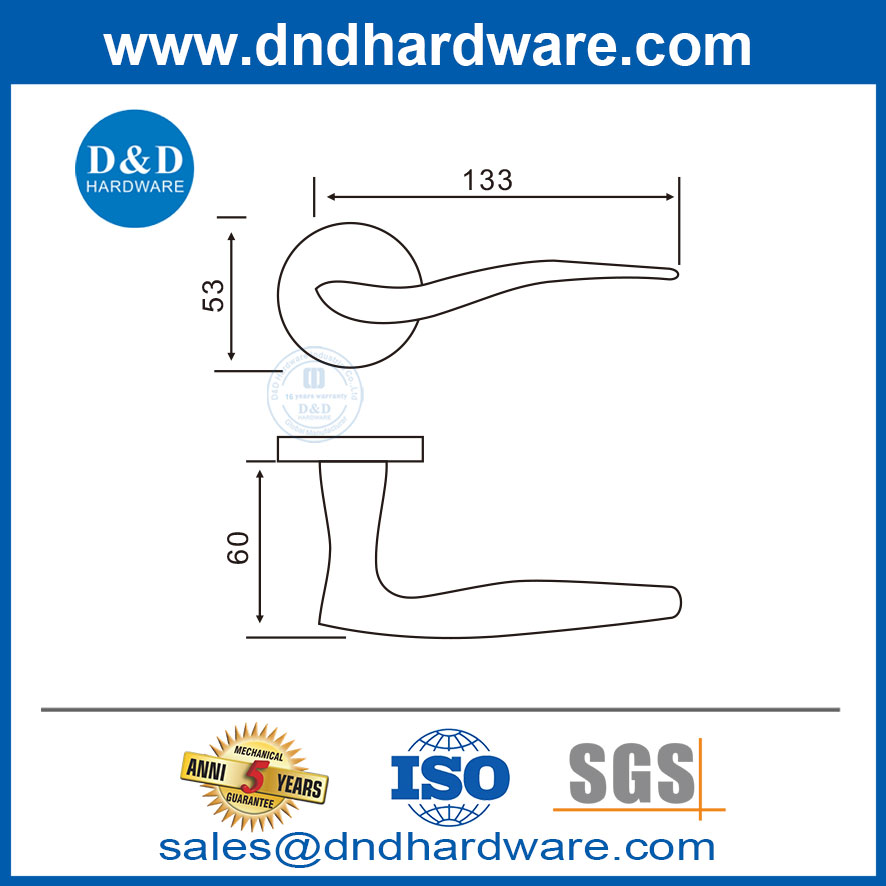 Poignée principale Poignée en acier inoxydable Levier de levier de la porte de porte-DDSH003