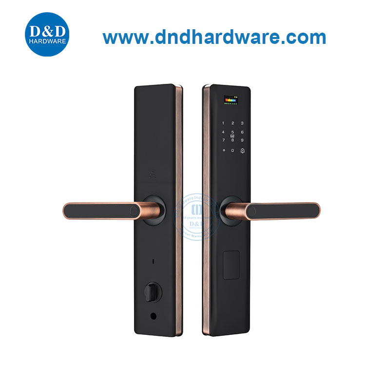 Mot de passe du verrouillage de la porte en métal touche le clavier Handle électrique Handle Smart Lock-ddl003