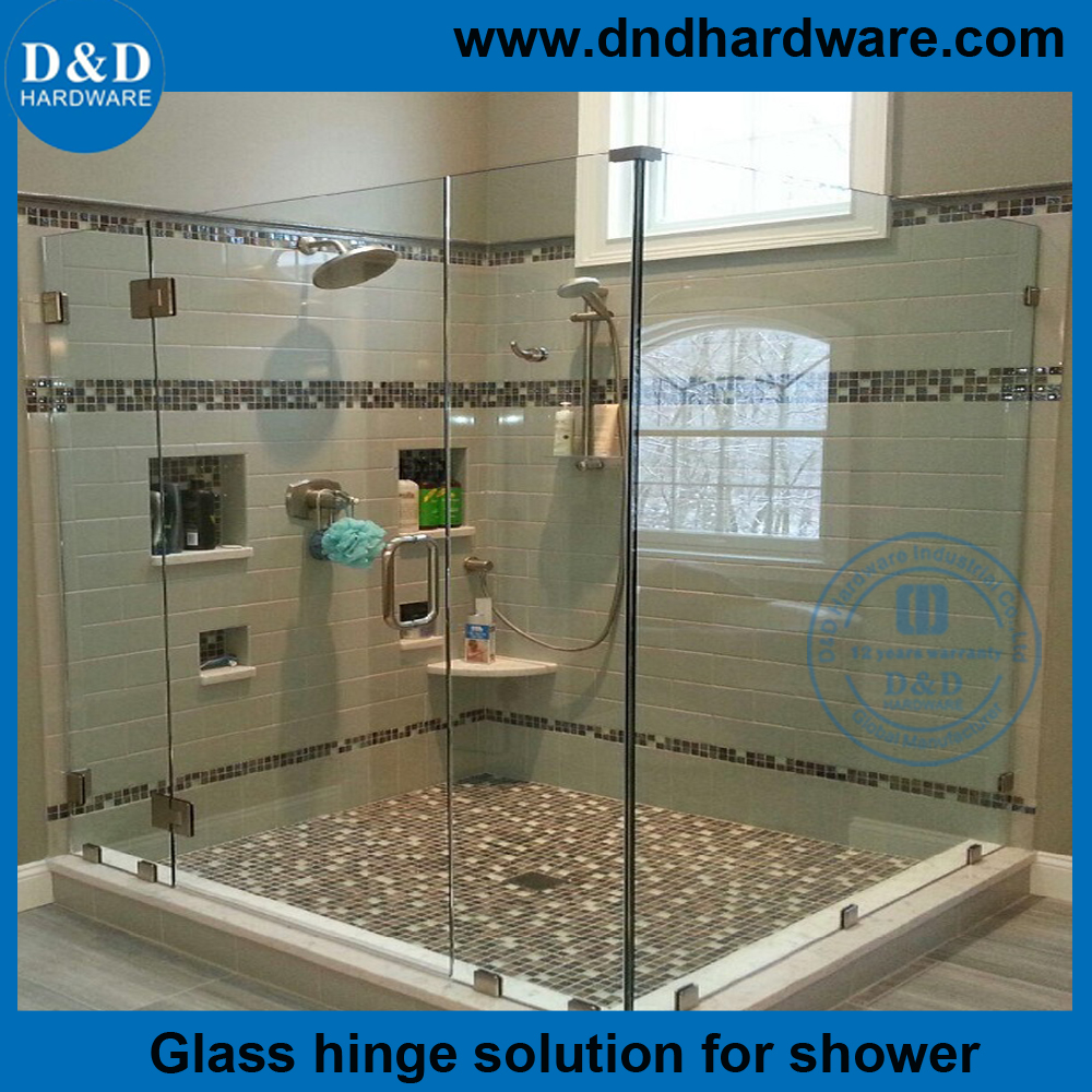 Verre en acier inoxydable aux charnières de porte en verre pour les portes en perspex-ddgh002