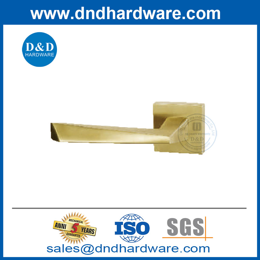 Porte en bois en acier inoxydable 304 Handle de porte en or intérieur moderne-DDSH056