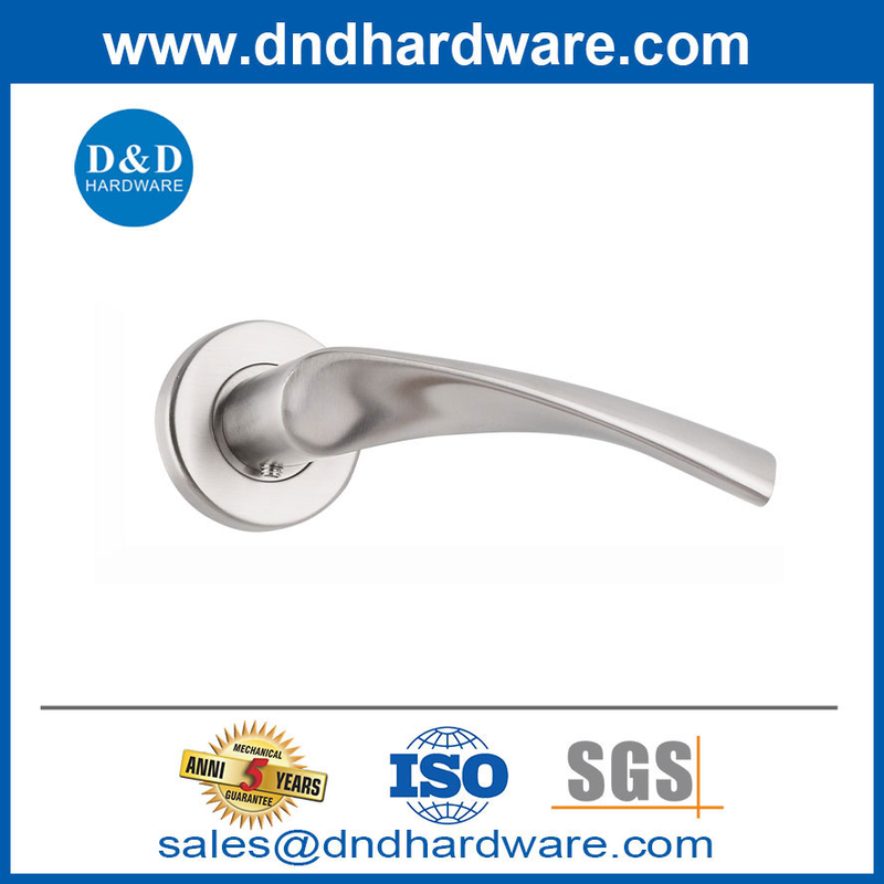 Poignées de porte solide en acier inoxydable en acier de haute qualité-DDSH002