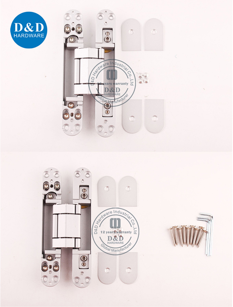 Hinges de porte invisibles-DDCH008-G80-D & D