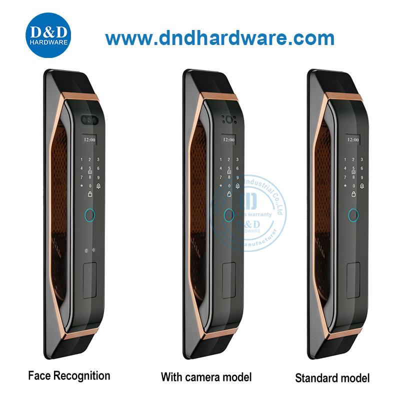 Reconnaissance faciale Video Intercom System Security Keyless Entry Door Smart Lock-Ddel012