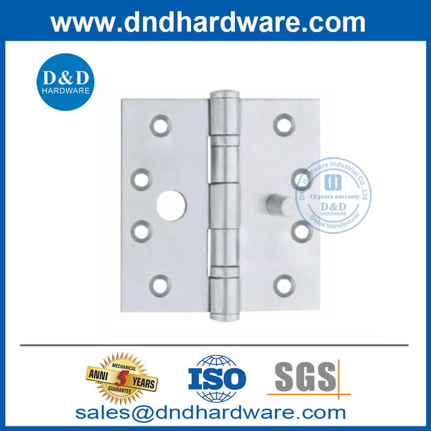 Porte de sécurité Hinge-DDSS015