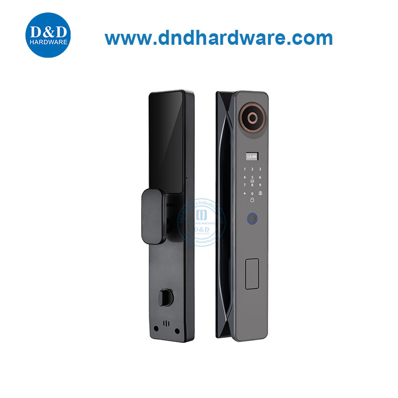Appartement à domicile Mot de passe de porte de verrouillage intelligent Déverrouiller Electronic Lock-Ddel003