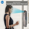 Reconnaissance du visage 3D FingerPint Smart Door Lock avec plusieurs méthodes de déverrouillage-DDEL001