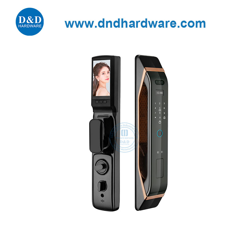 Reconnaissance faciale Video Intercom System Security Keyless Entry Door Smart Lock-Ddel012