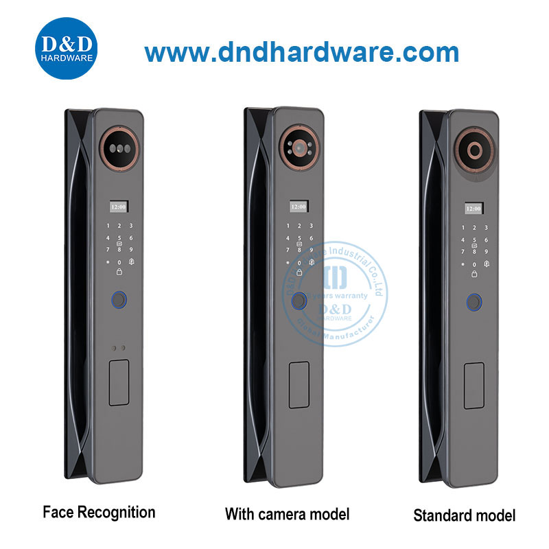 Appartement à domicile Mot de passe de porte de verrouillage intelligent Déverrouiller Electronic Lock-Ddel003