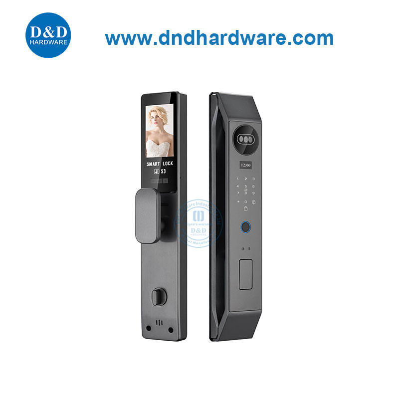 Digital Electronic Biométrique Empreinte Face Reconnaissance Lock Smart Home Security-Ddel006
