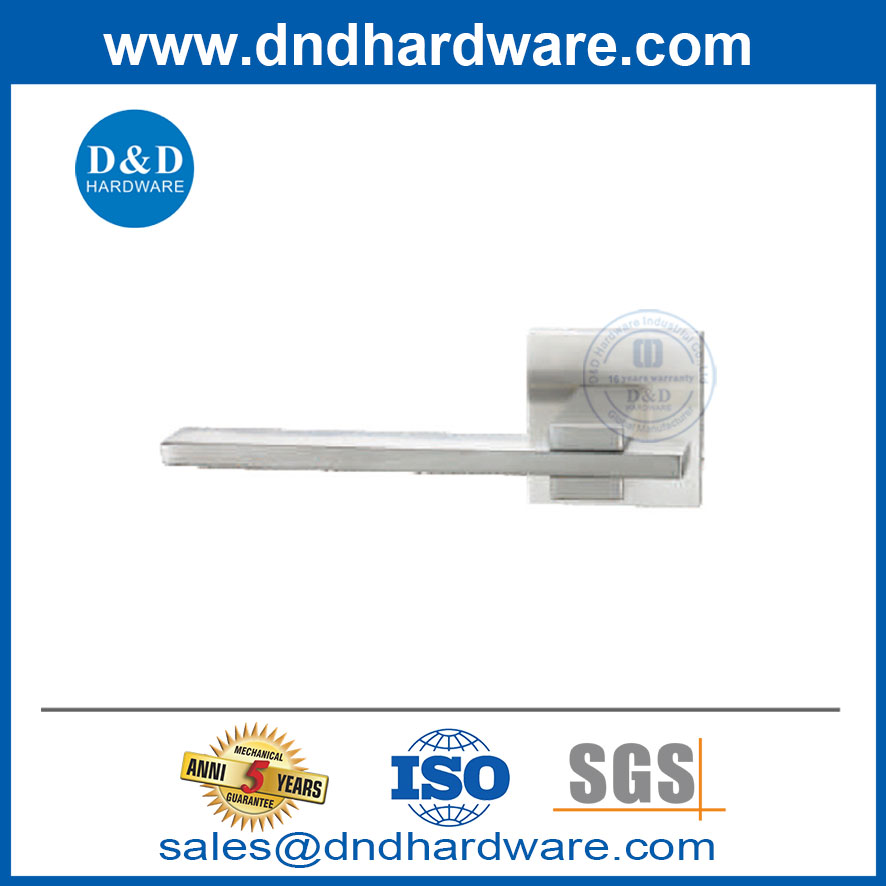 Poignées de porte externe Levier d'intimité en acier inoxydable poignée de porte-DDSH060