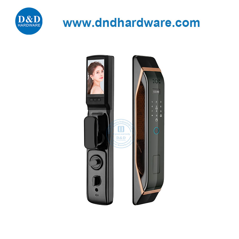 Reconnaissance faciale Video Intercom System Security Keyless Entry Door Smart Lock-Ddel012