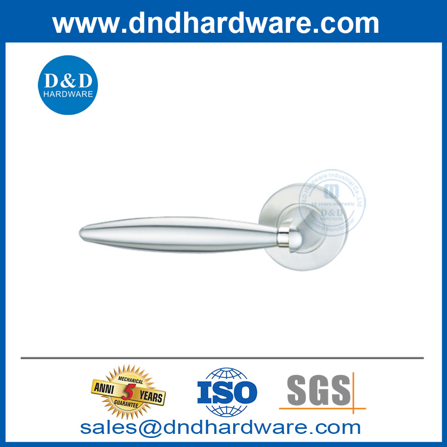 Poignées de porte intérieure modernes en acier inoxydable pour porte en métal-DDSH033