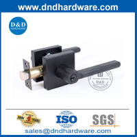 Square Rosette Handle Black Handle Tubulaire Porte de verrouillage Set-DDLK087
