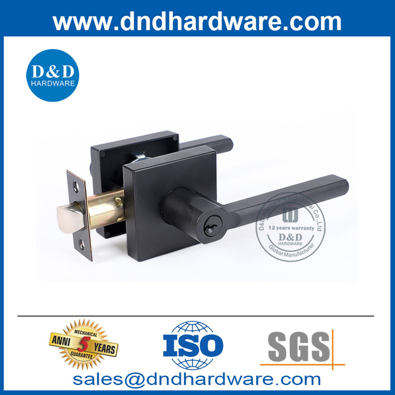 Square Rosette Handle Black Handle Tubulaire Porte de verrouillage Set-DDLK087
