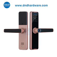 Verrouillage de porte sans clé électronique Smart Ringerrint Porce de porte numérique Lock-ddl005